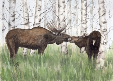 Poster DIN-A3 Aquarell Kunst Druck Kunstdruck Schweden Sweden Sverige Elch
